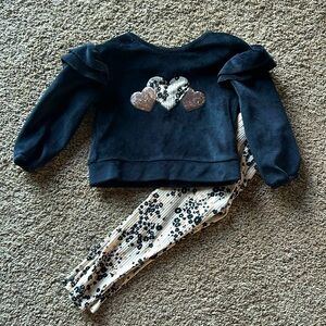 Matching pant and velvet like sweater set